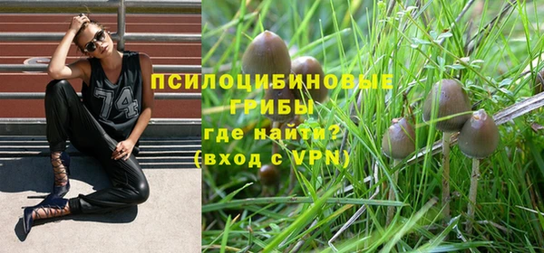 бутират Заводоуковск