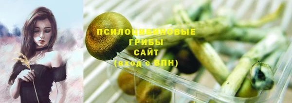 спиды Заволжск