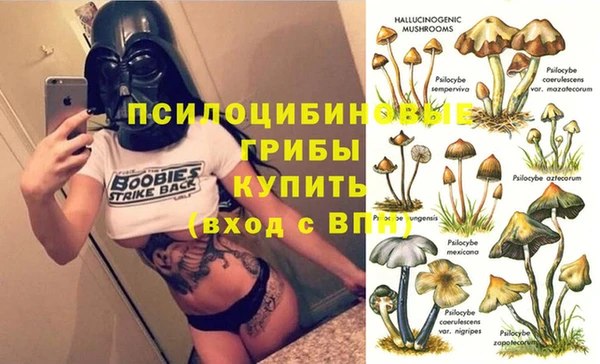 mdpv Заволжье