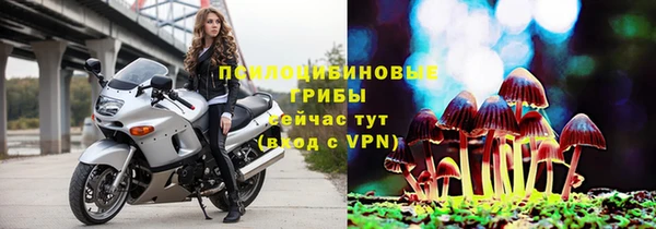 спиды Заволжск