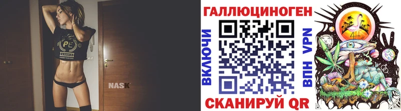 Купить где  Аркадак  Псилоцибиновые грибы GOLDEN TEACHER 